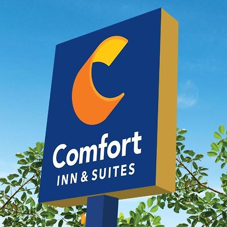 Comfort Inn & Suites تكساس سيتي المظهر الخارجي الصورة