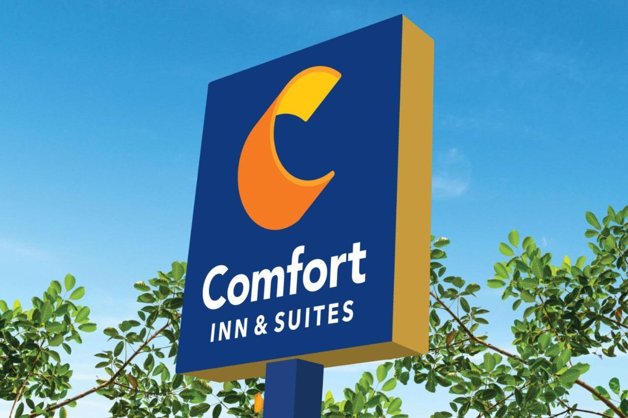 Comfort Inn & Suites تكساس سيتي المظهر الخارجي الصورة